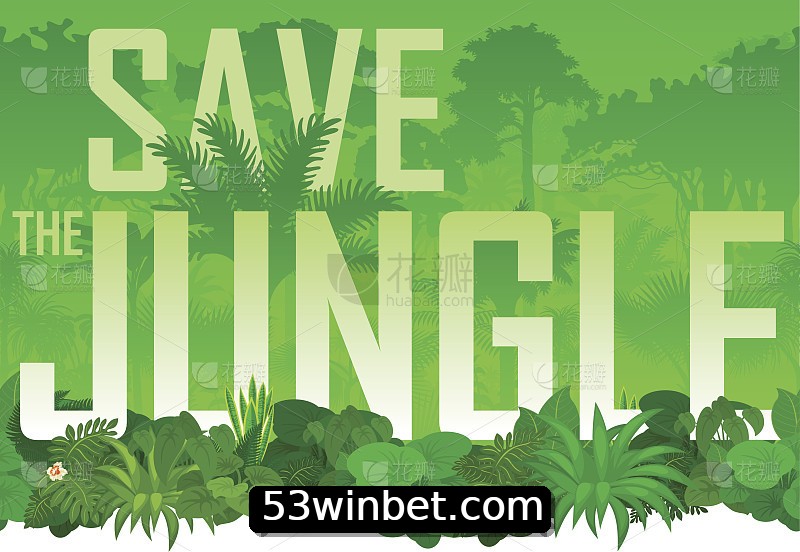 Integração de APIs 53win