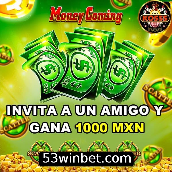 Bônus Diários 53win